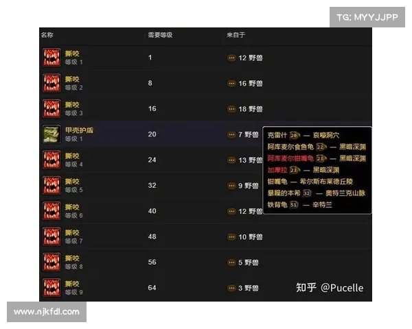 魔兽世界宠物技能大揭秘，完美掌握使用技巧